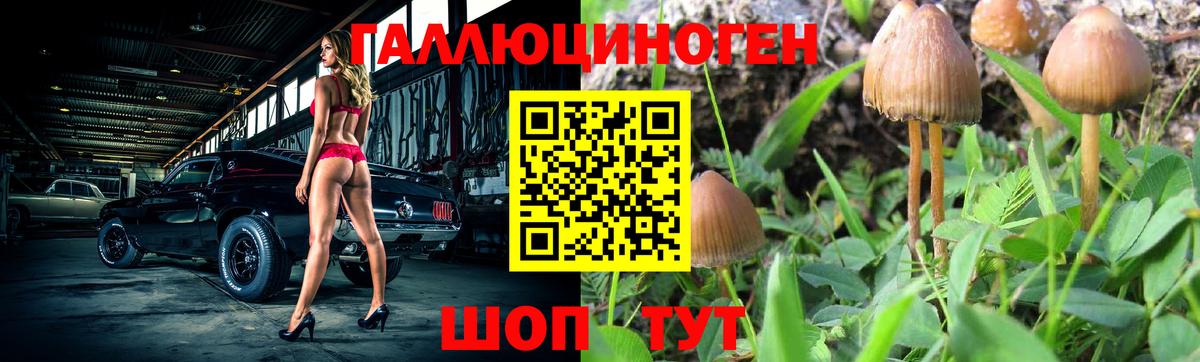 Галлюциногенные грибы Psilocybe Первоуральск