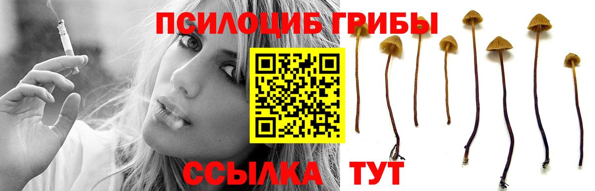 Галлюциногенные грибы прущие грибы  Вход с VPN  Первоуральск  Псилоцибиновые грибы MAGIC MUSHROOMS 